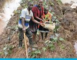 geschenk-saatgut-uganda