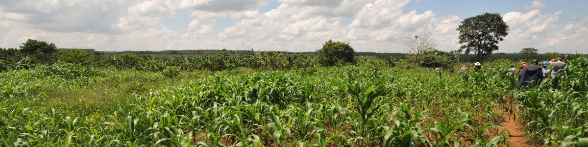 header-hunger-uganda header-hunger-uganda